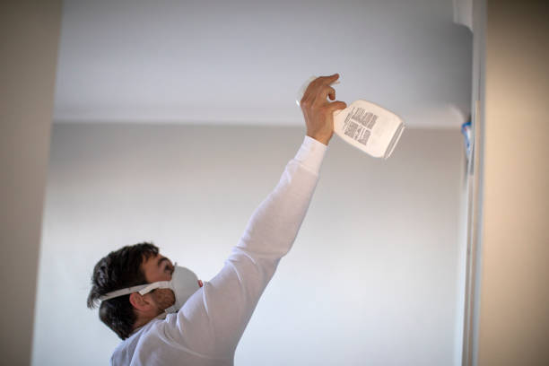 Best Affordable Mold Removal  in Cape Carteret, NC