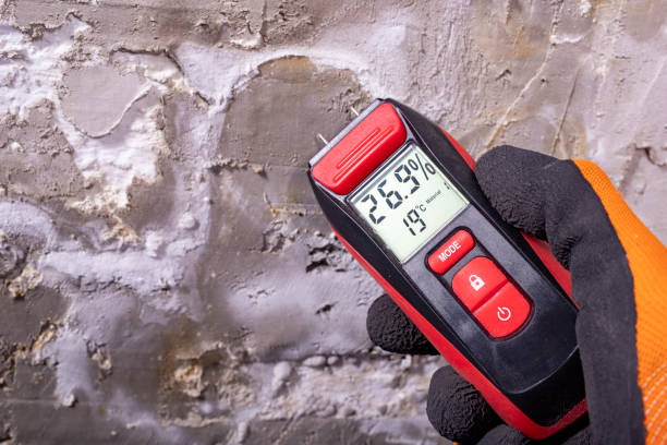 Best Commercial Mold Removal  in Cape Carteret, NC
