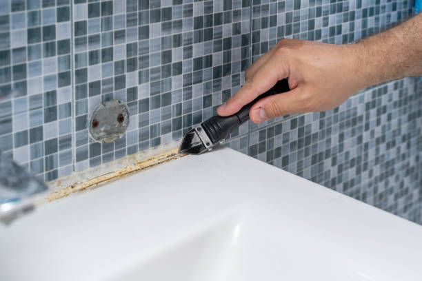 Best Toxic Mold Removal  in Cape Carteret, NC