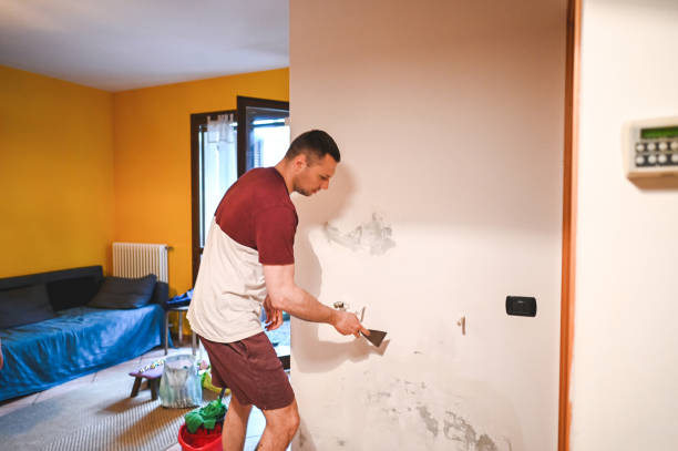 Best Mold Removal Company Near Me  in Cape Carteret, NC