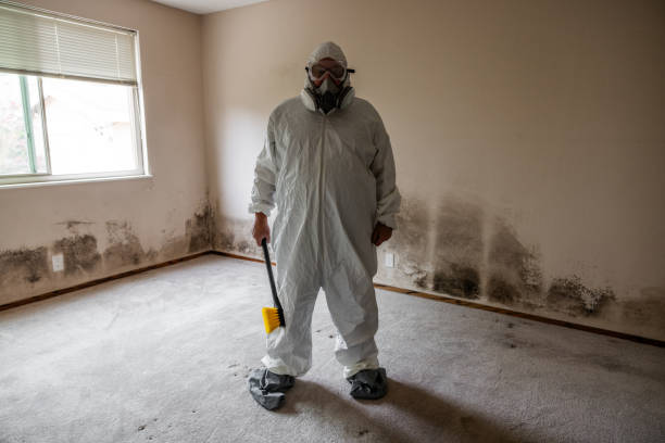 Best Emergency Mold Removal  in Cape Carteret, NC